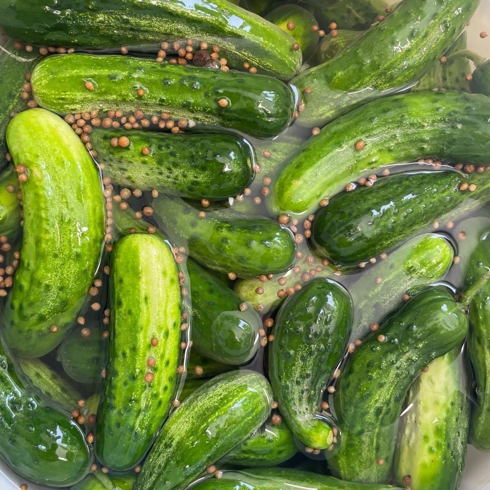 That Pickle Guy (Garlic Crunch)